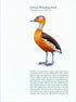 Ducks, Geese and Swans of North America, (2-Volume Set) - Baldassarre, G. 2014